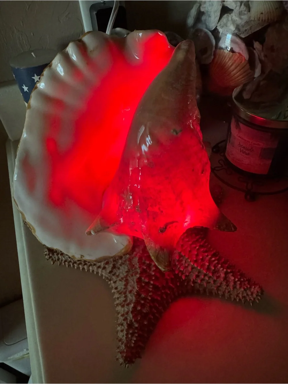 Real Conch Shell & Starfish Table Lamp Nightlight - Mexico 🇲🇽
